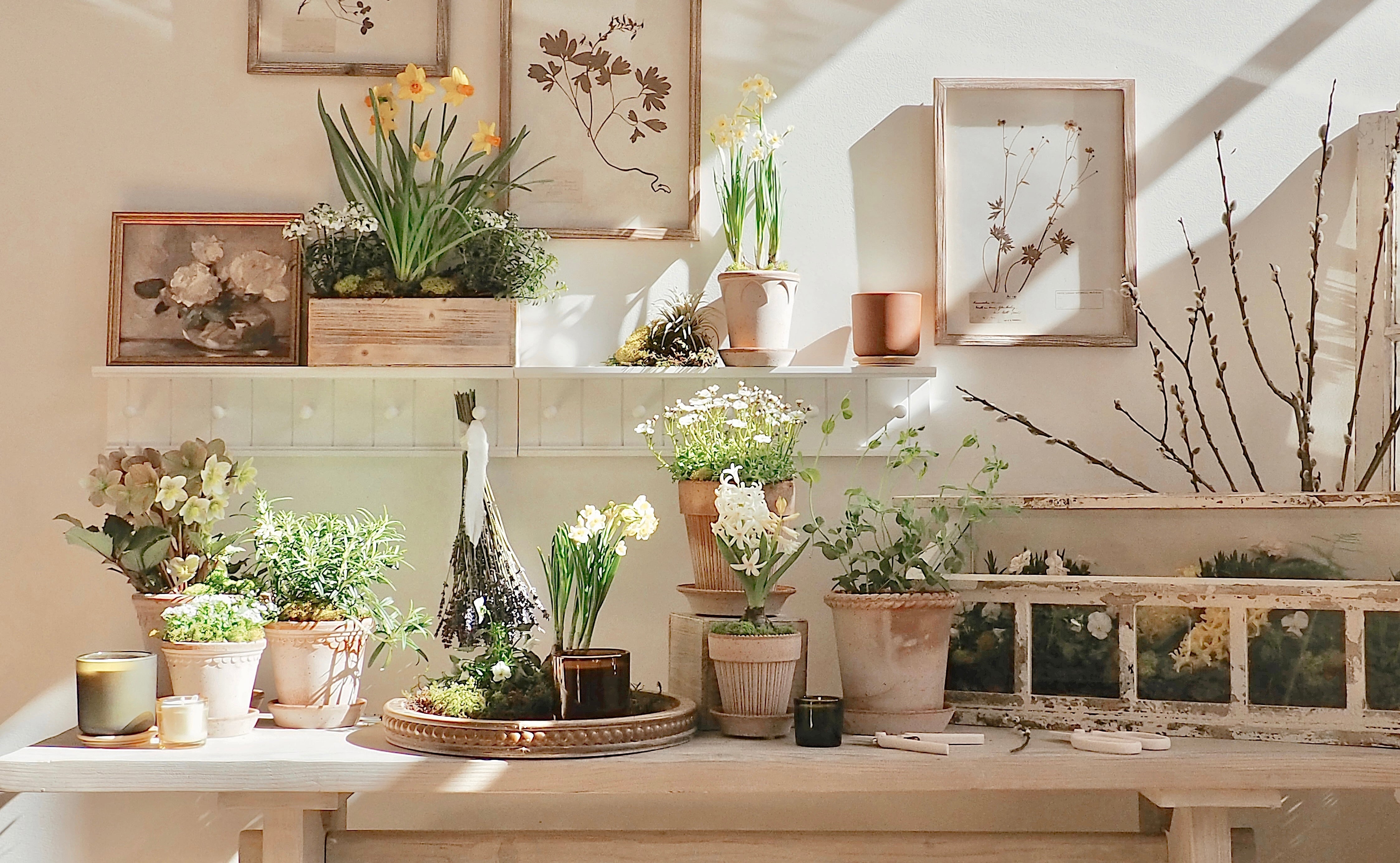 花瓶・フラワースタンド Venus and Cat GARDEN & FLORALS | The Cross Decor & Design