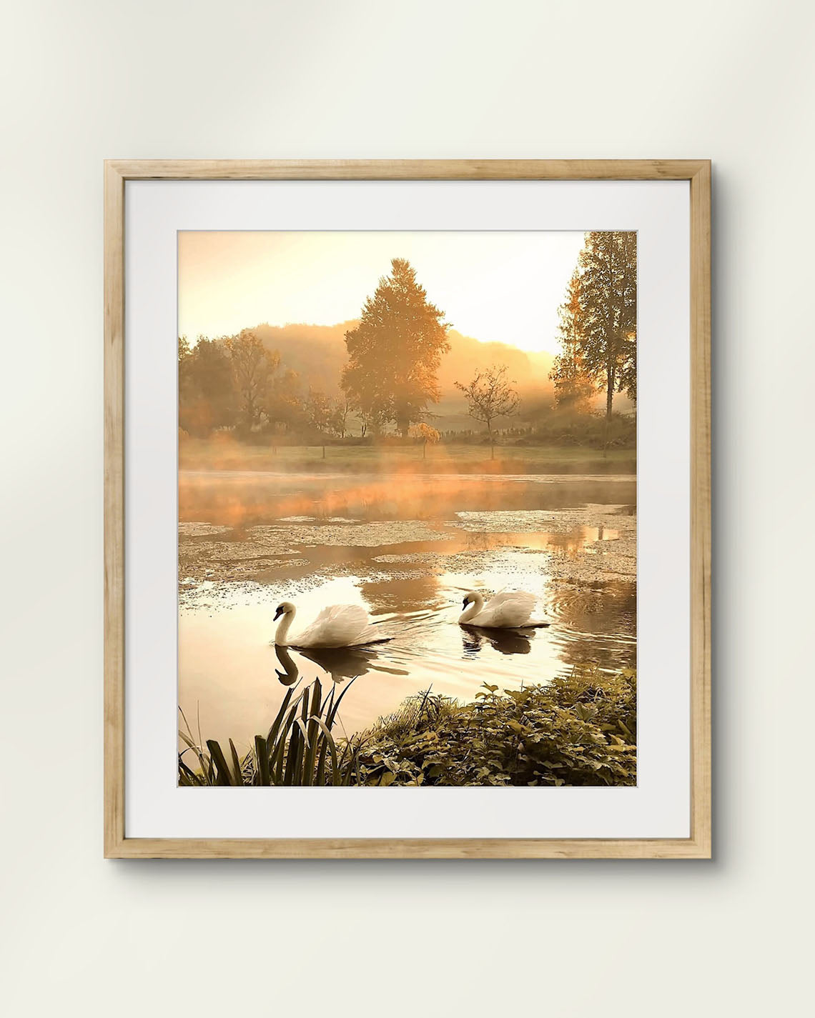 Swan Lake Art Print