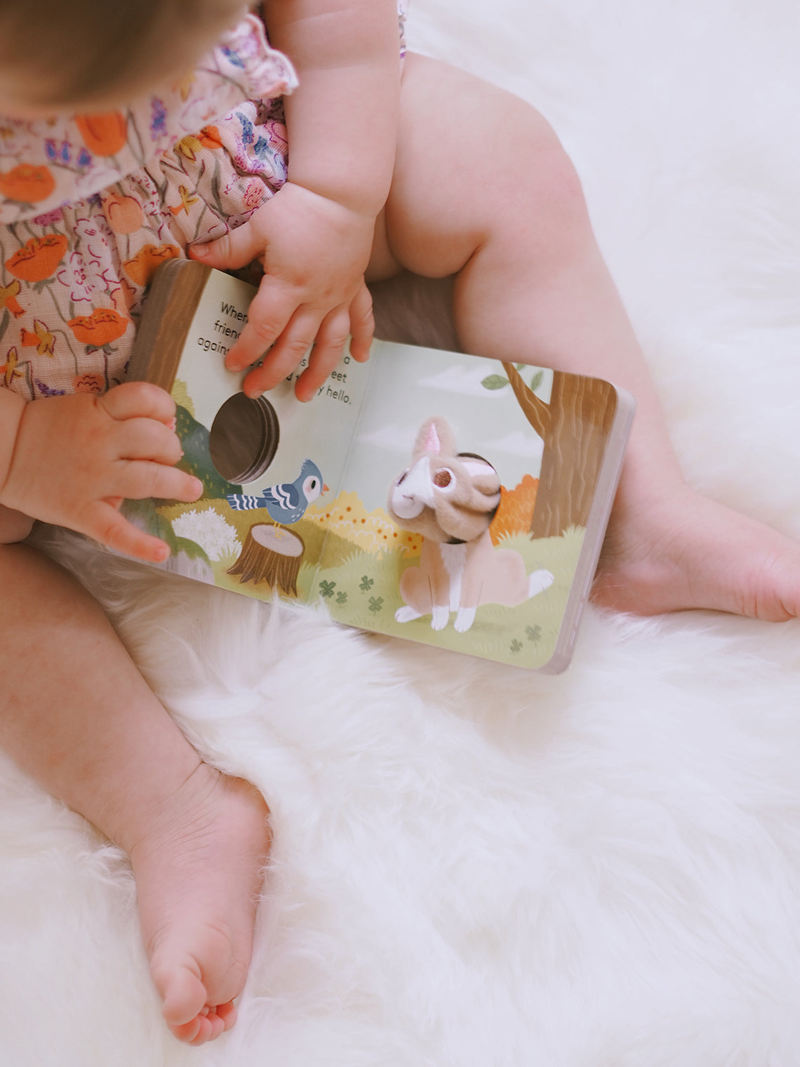 Baby & Toddler Books