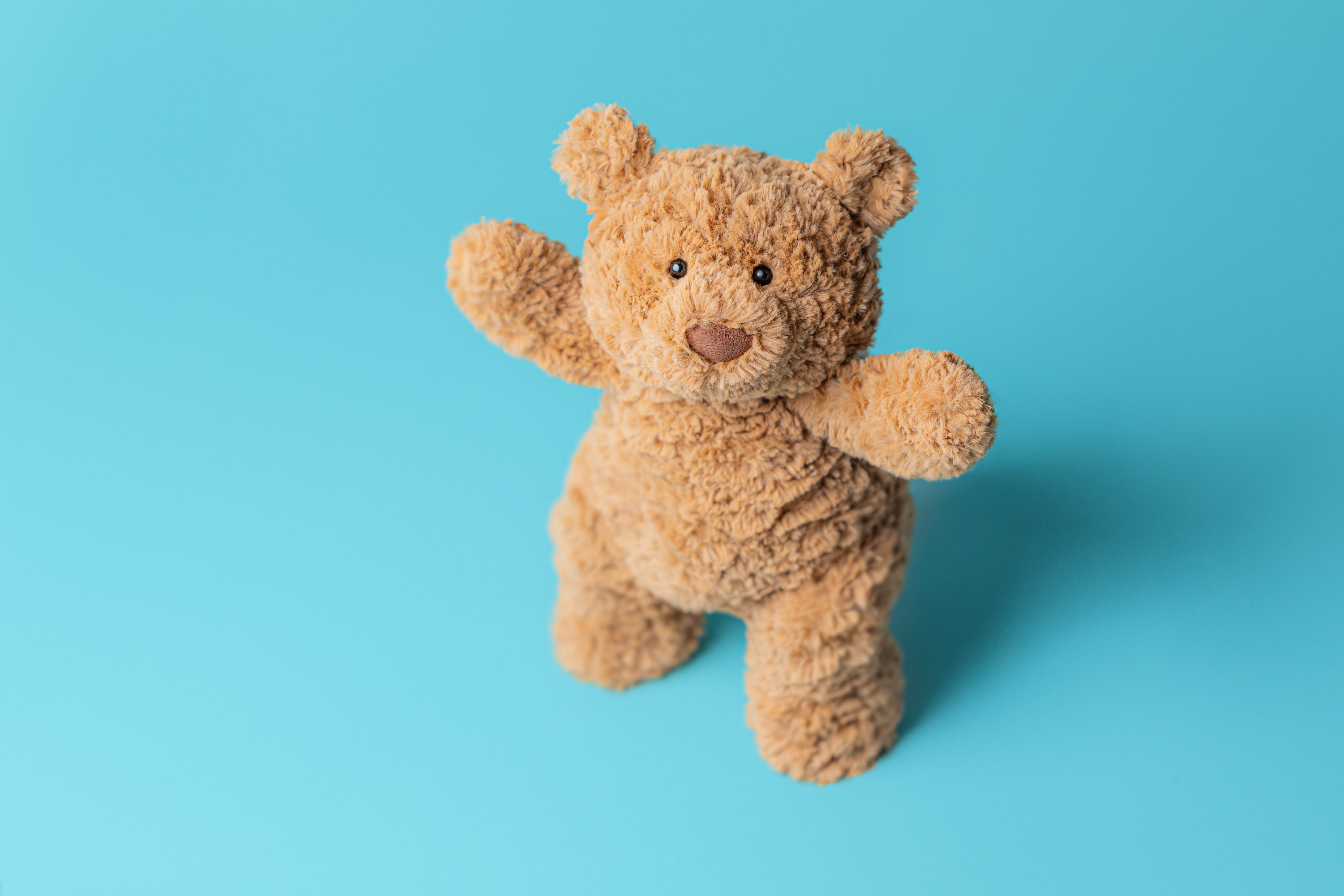 Bartholomew Bear | The Cross Living