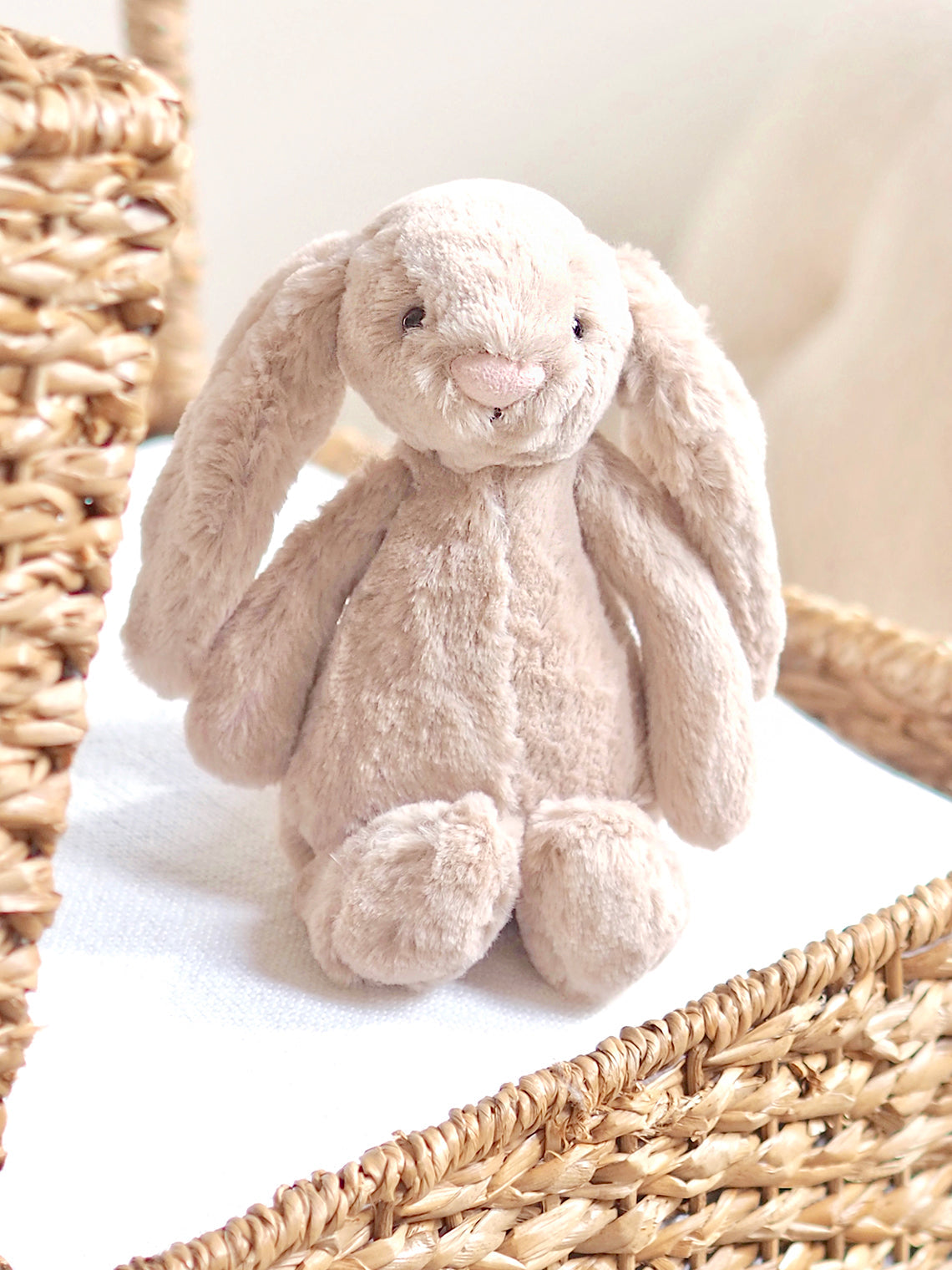 Stuffies, Books & Toys