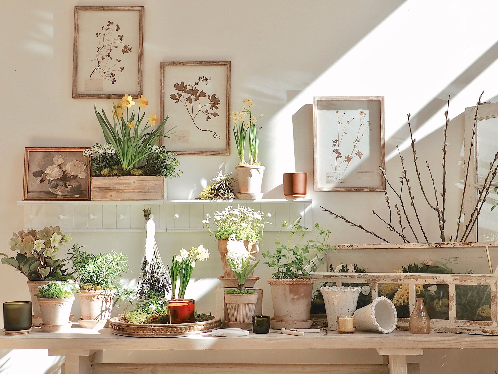 Flower Pots