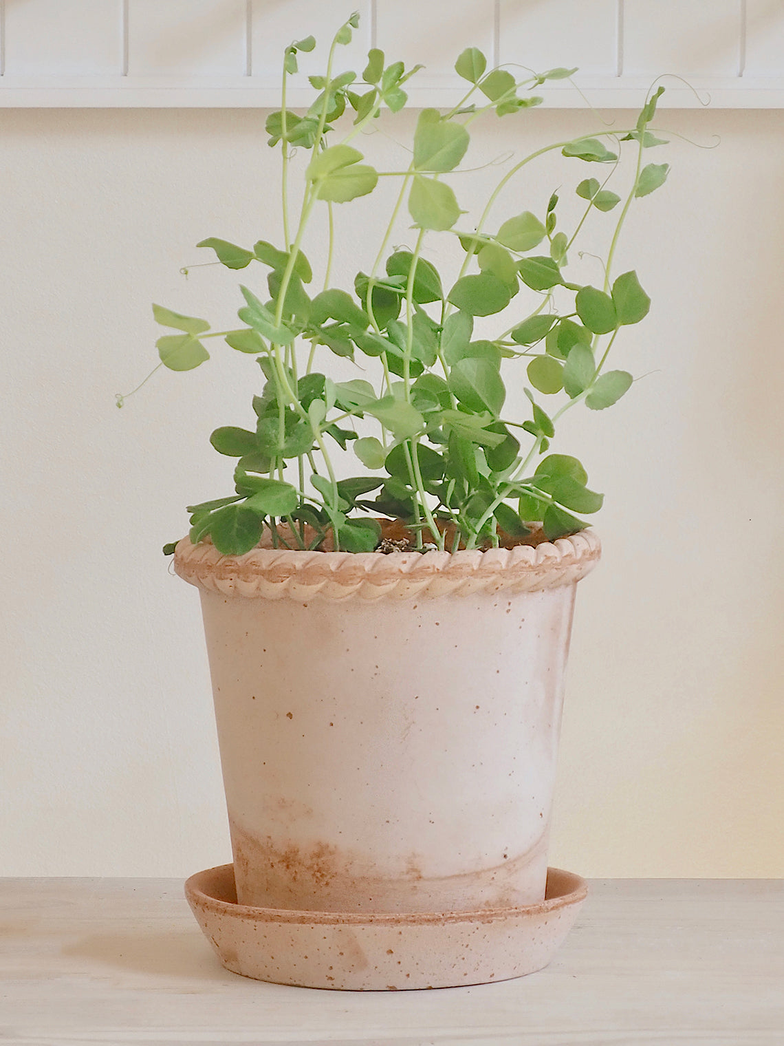 Emilia Pot - The Cross Decor & Design