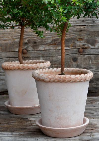 Emilia Pot - The Cross Decor & Design