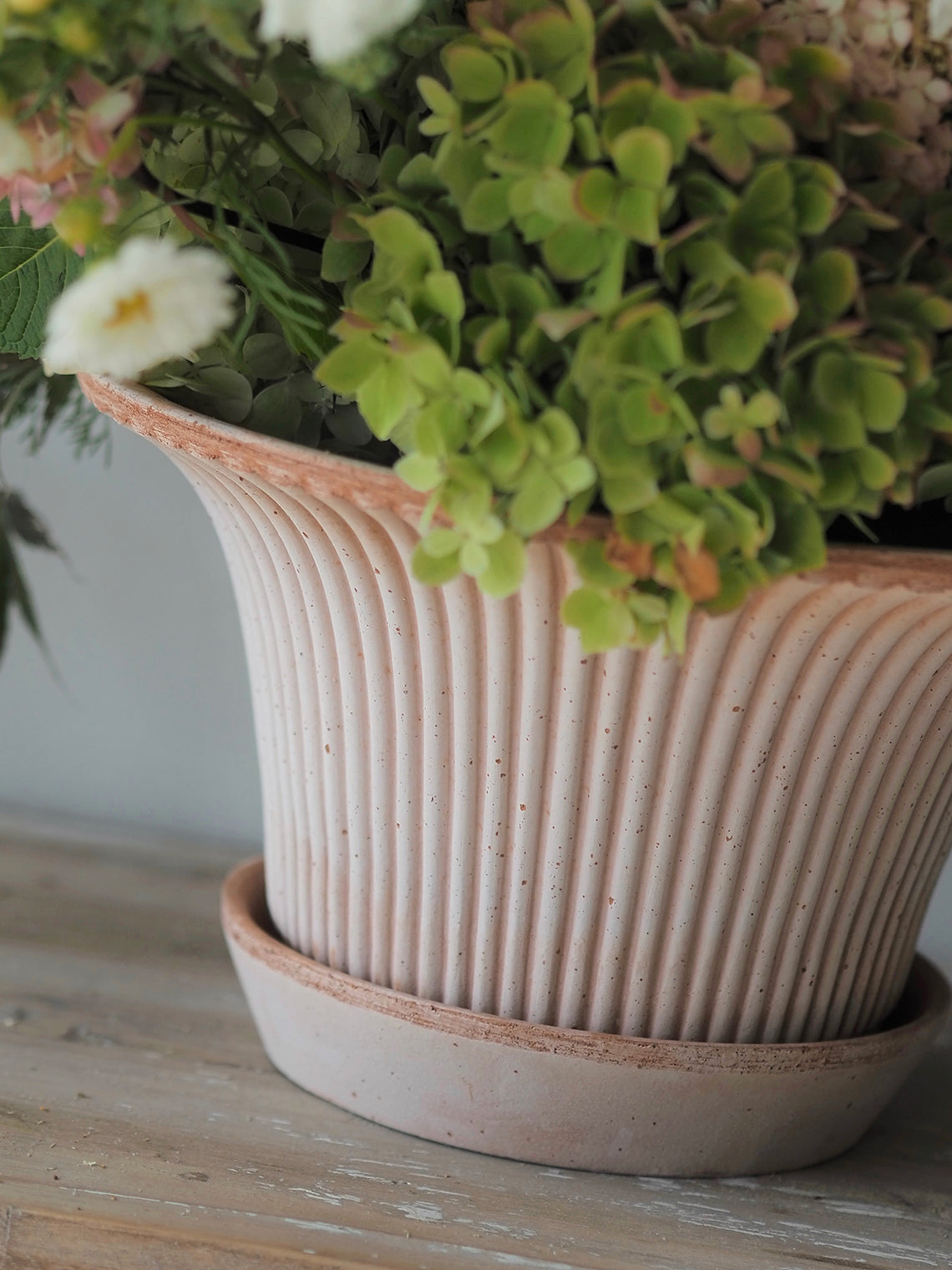 Daisy Pot - The Cross Decor & Design