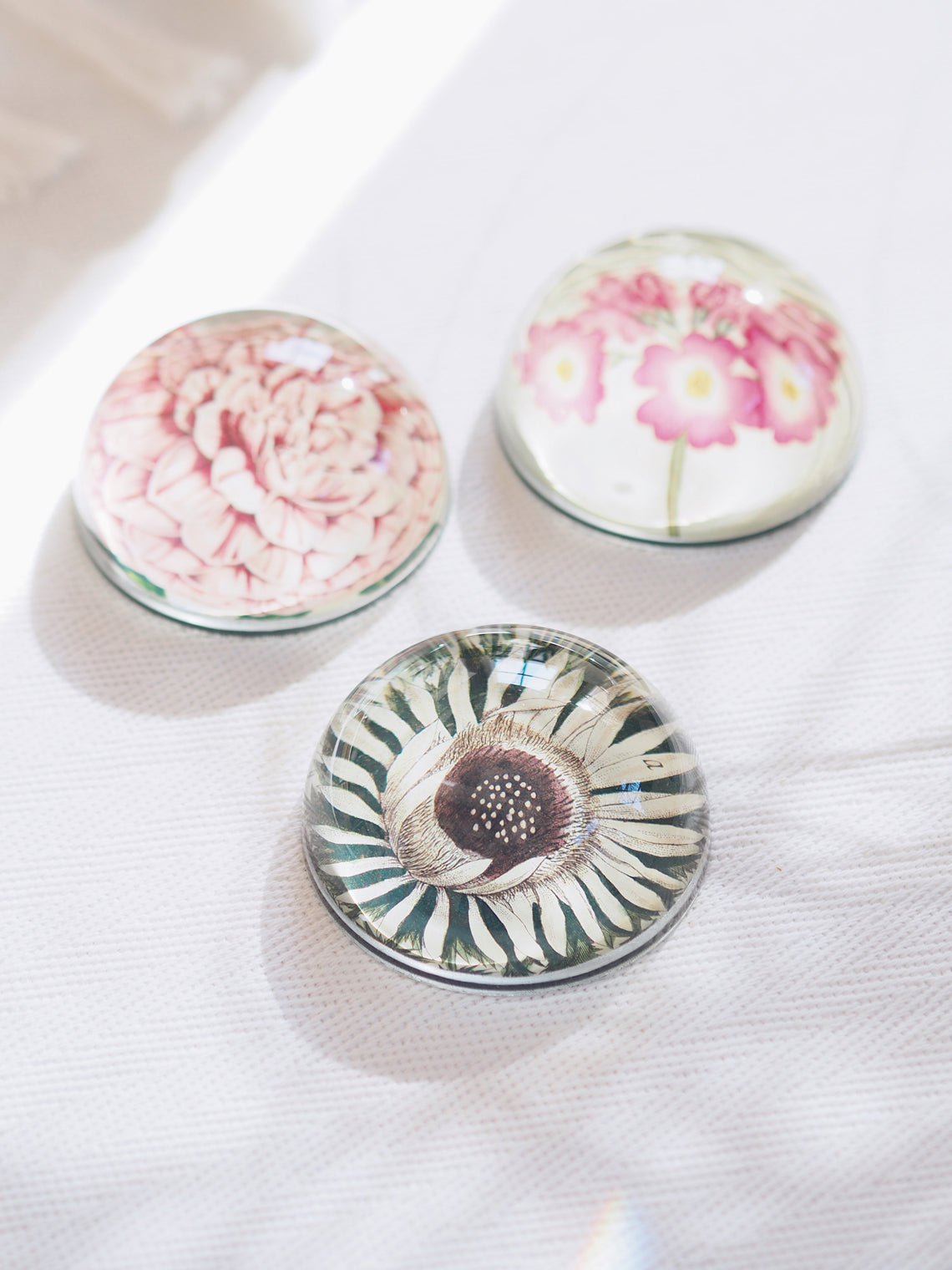 Carlina Acaulis Dome Paperweight - The Cross Decor & Design