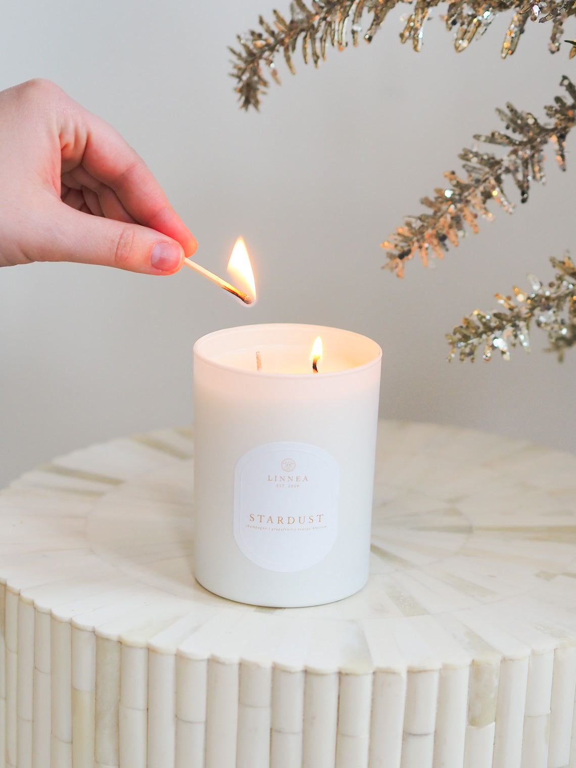 Stardust 2 Wick Candle