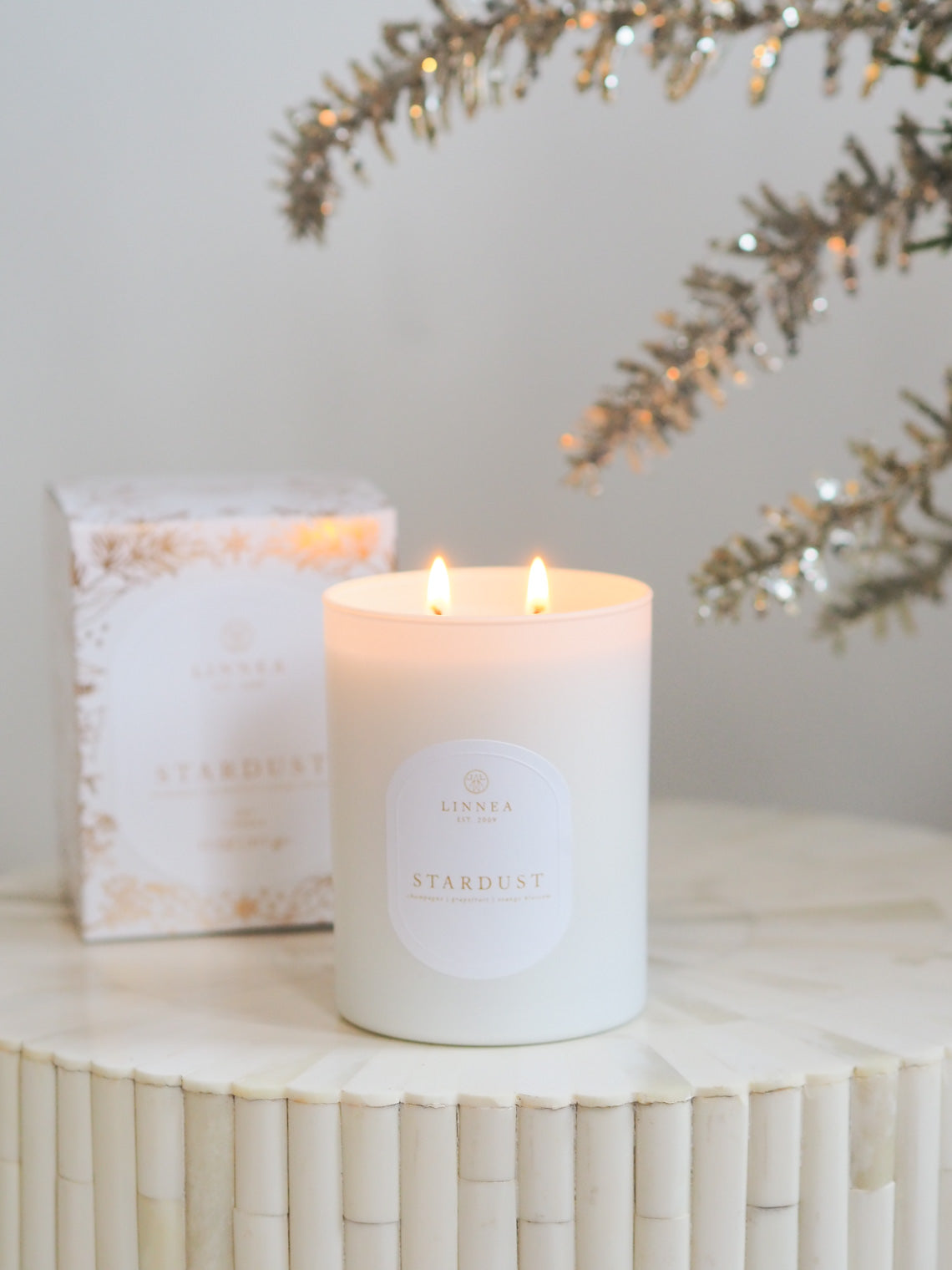 Stardust 2 Wick Candle