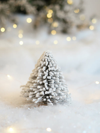 Pine Frosted Trees - The Cross Decor & Design