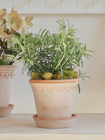 copenhagen plant pot Copenhagen Pot