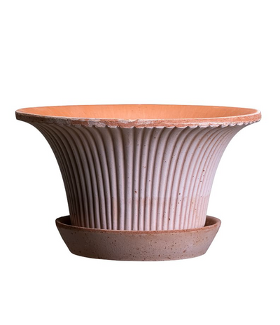 Daisy Pot - The Cross Decor & Design