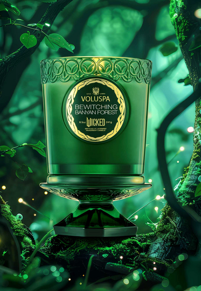 Bewitching Banyan Forest Boxed Candle