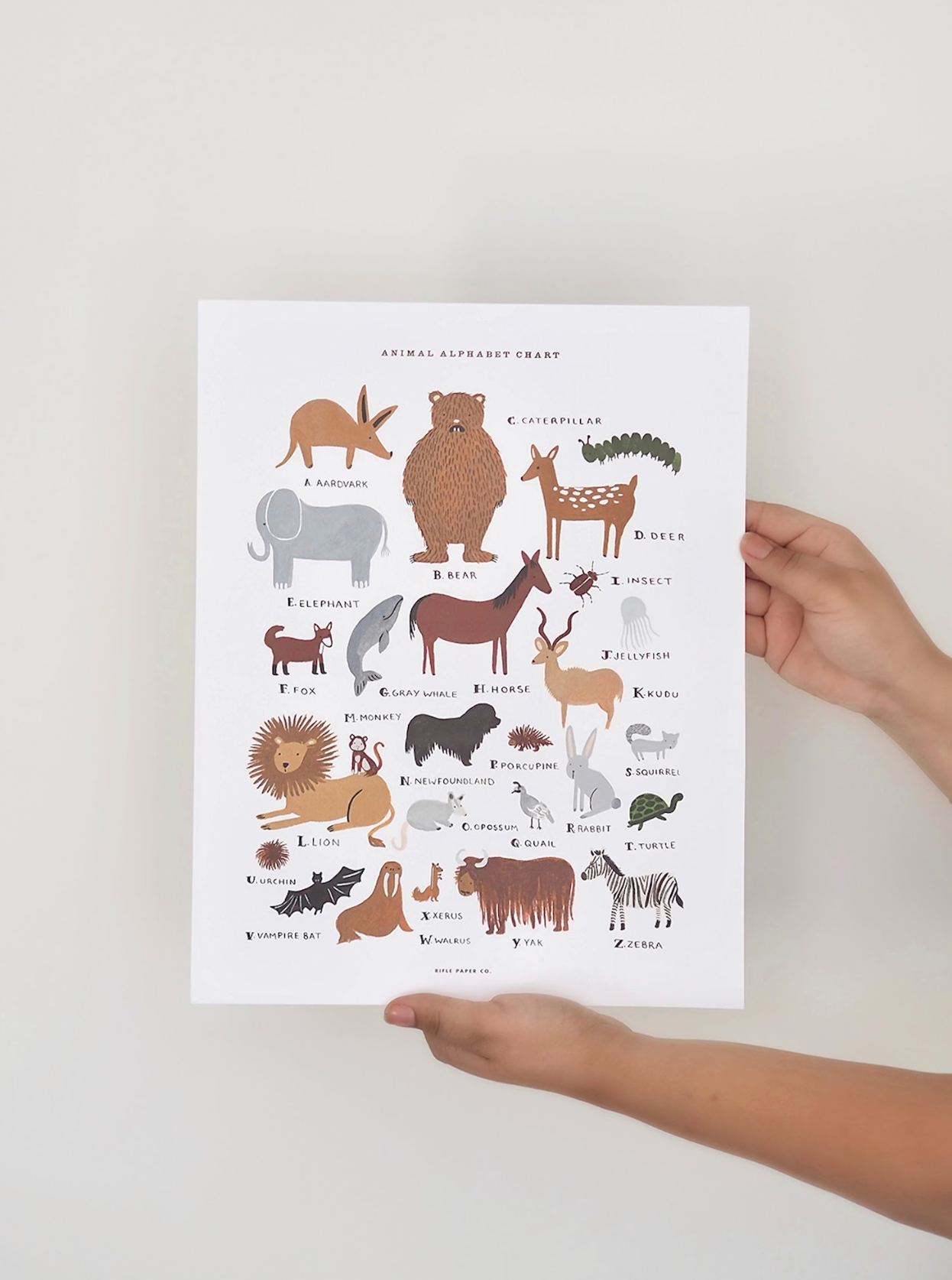 Animal Alphabet Chart Print | 11x14 - The Cross Decor & Design