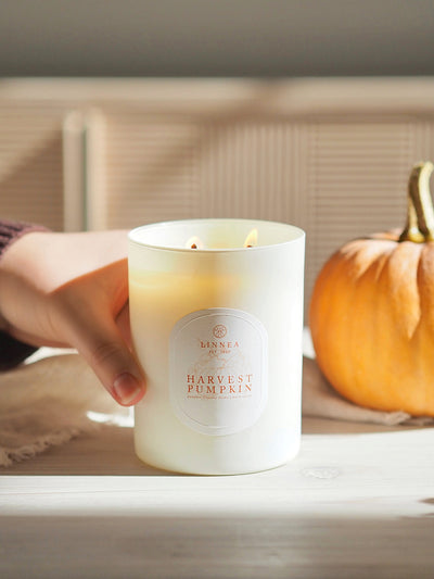 Harvest Pumpkin 2 Wick Candle