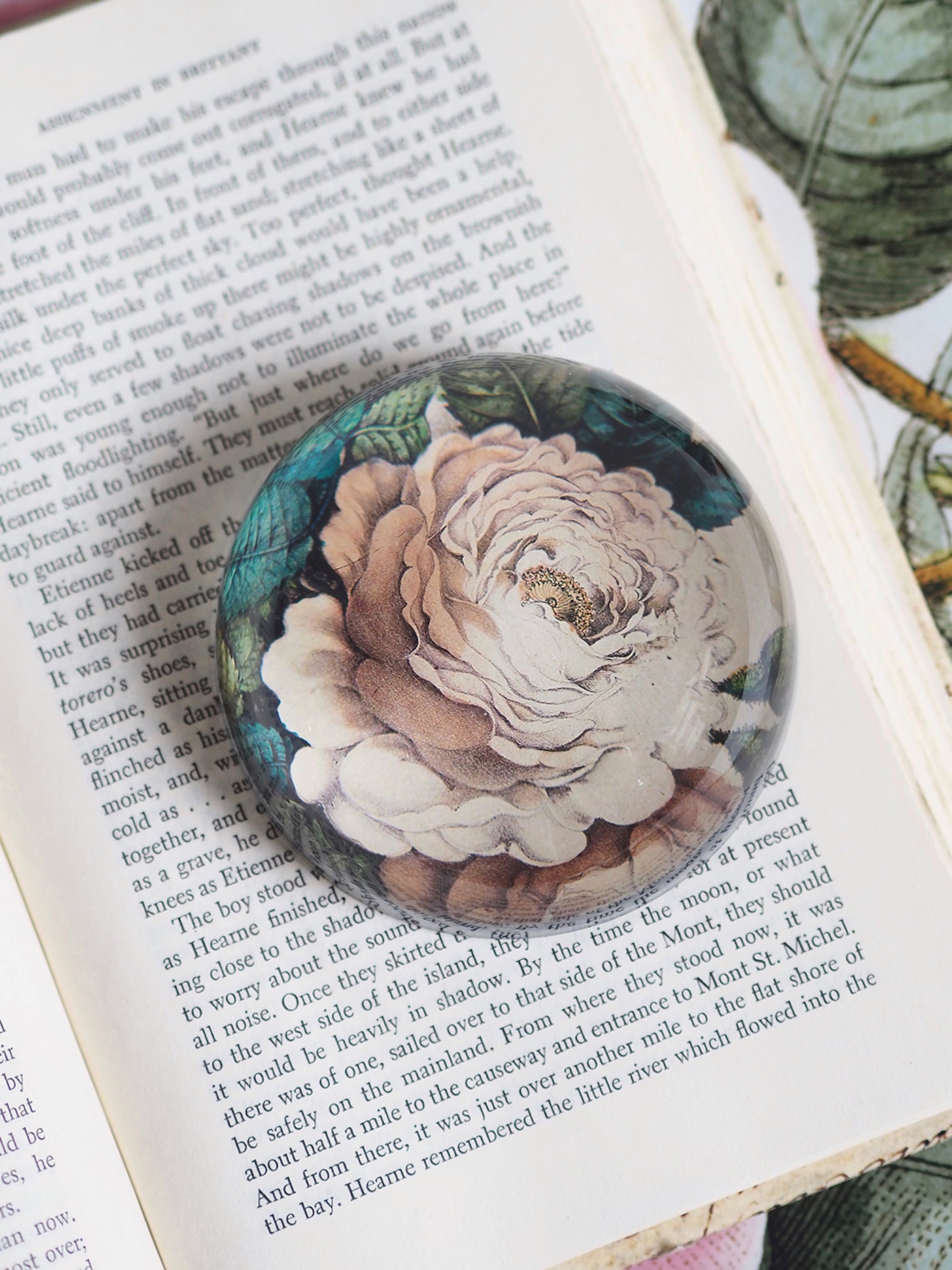 Sepia Rose Dome Paperweight - The Cross Decor & Design