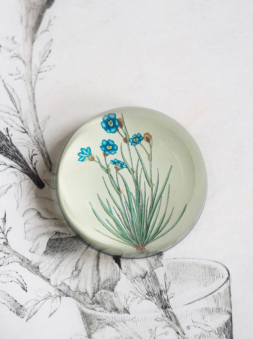 John Derian
