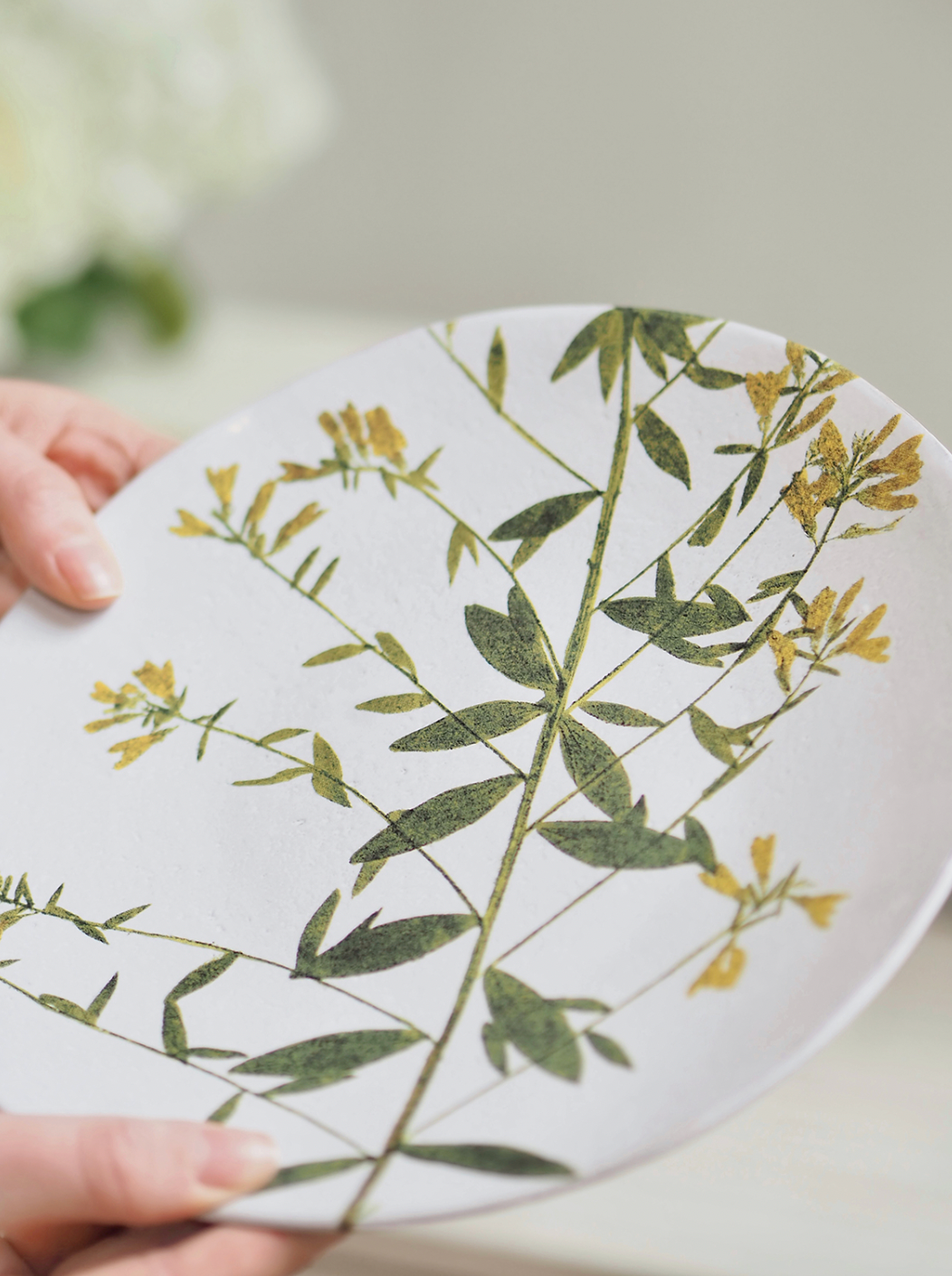 Genista John Derian Plate - The Cross Decor & Design