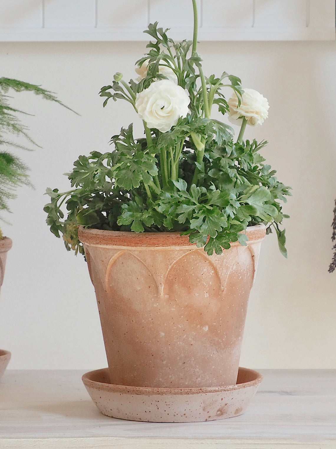 Elizabeth Pot  18cm / 5.75" - The Cross Decor & Design