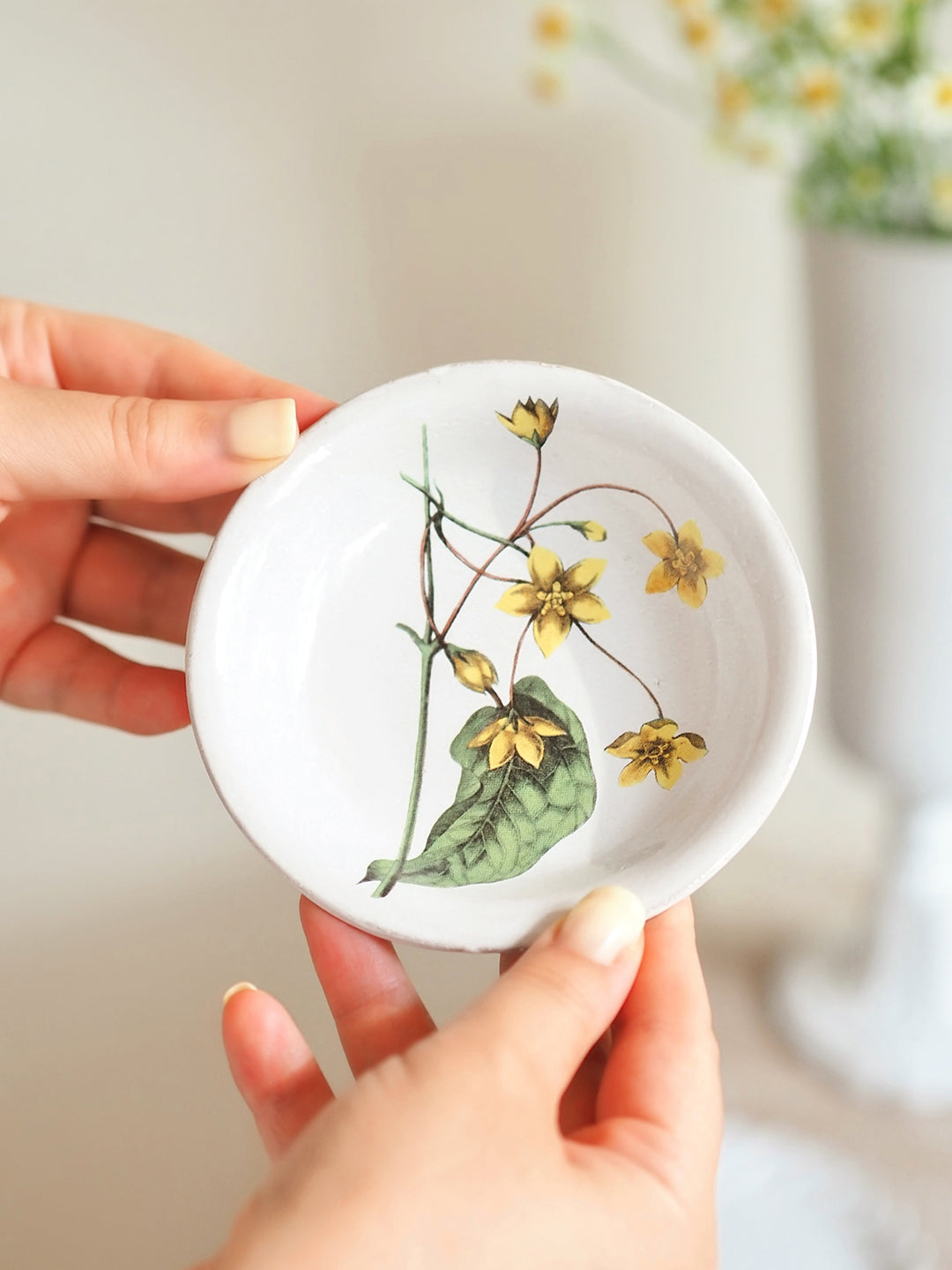 Astier de Villatte & John Derian