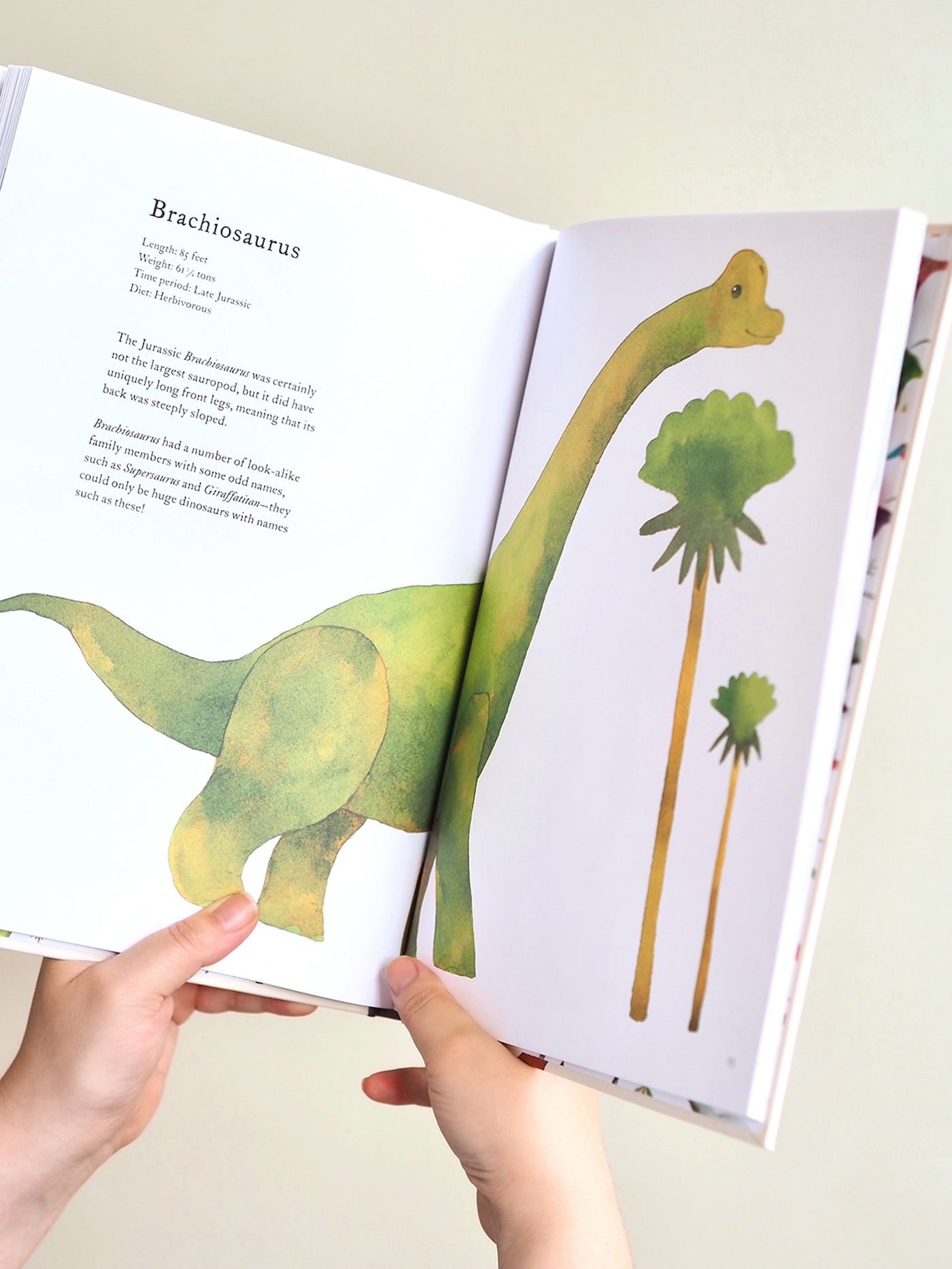 The Colorful World of Dinosaurs Book - The Cross Decor & Design