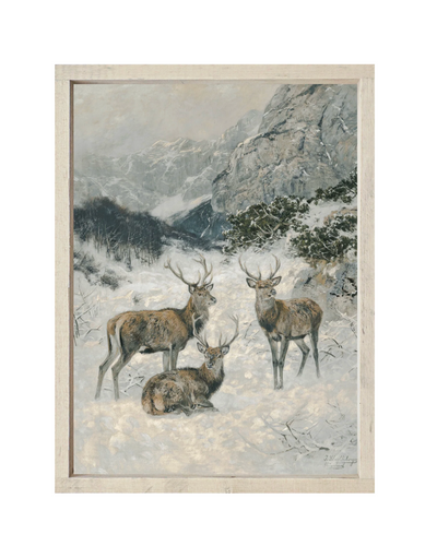 Winter Deer Framed Print