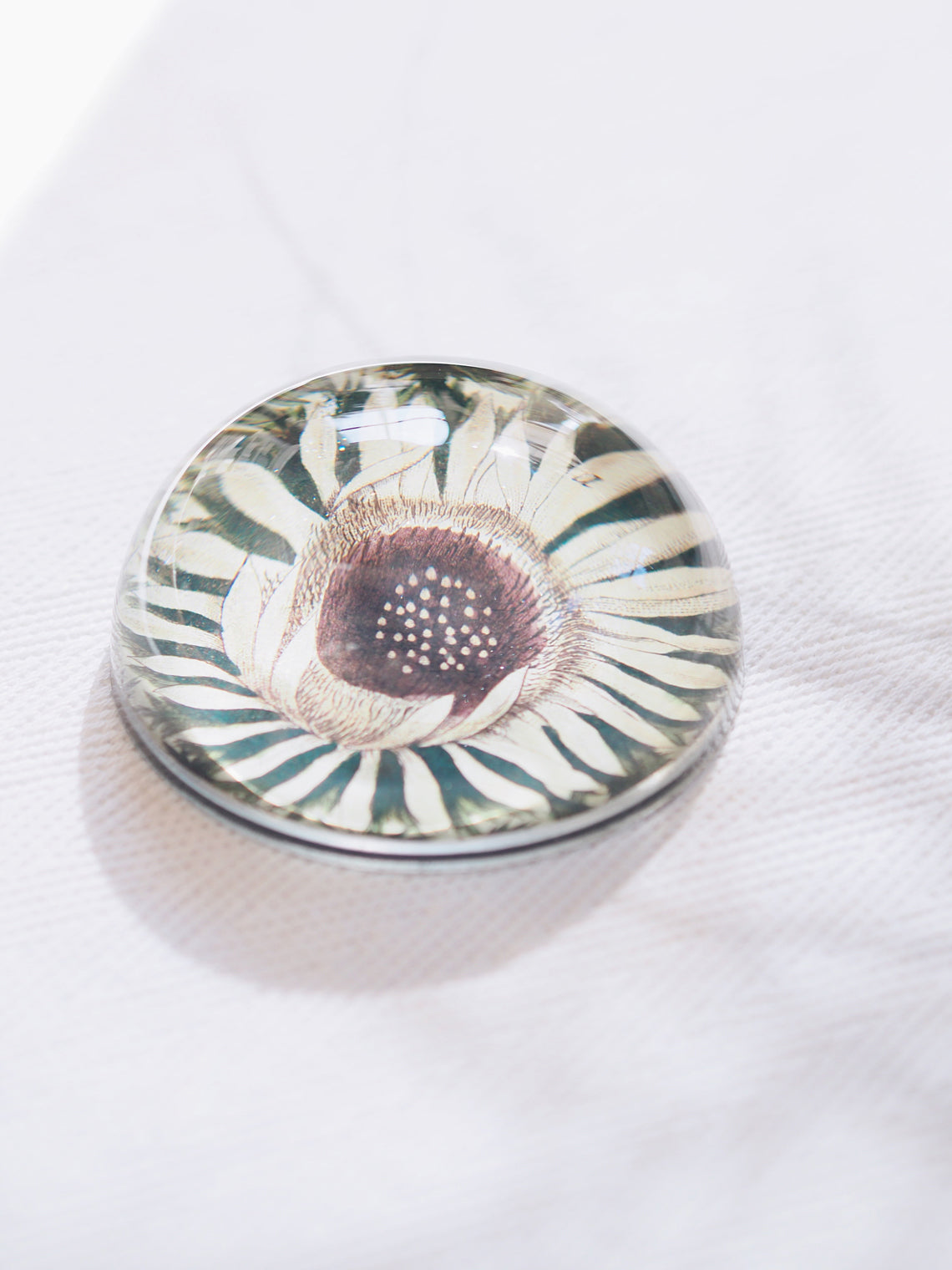 Carlina Acaulis Dome Paperweight - The Cross Decor & Design