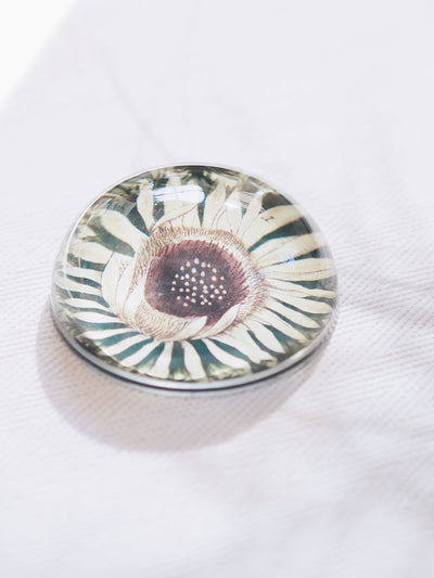 Carlina Acaulis Dome Paperweight - The Cross Decor & Design