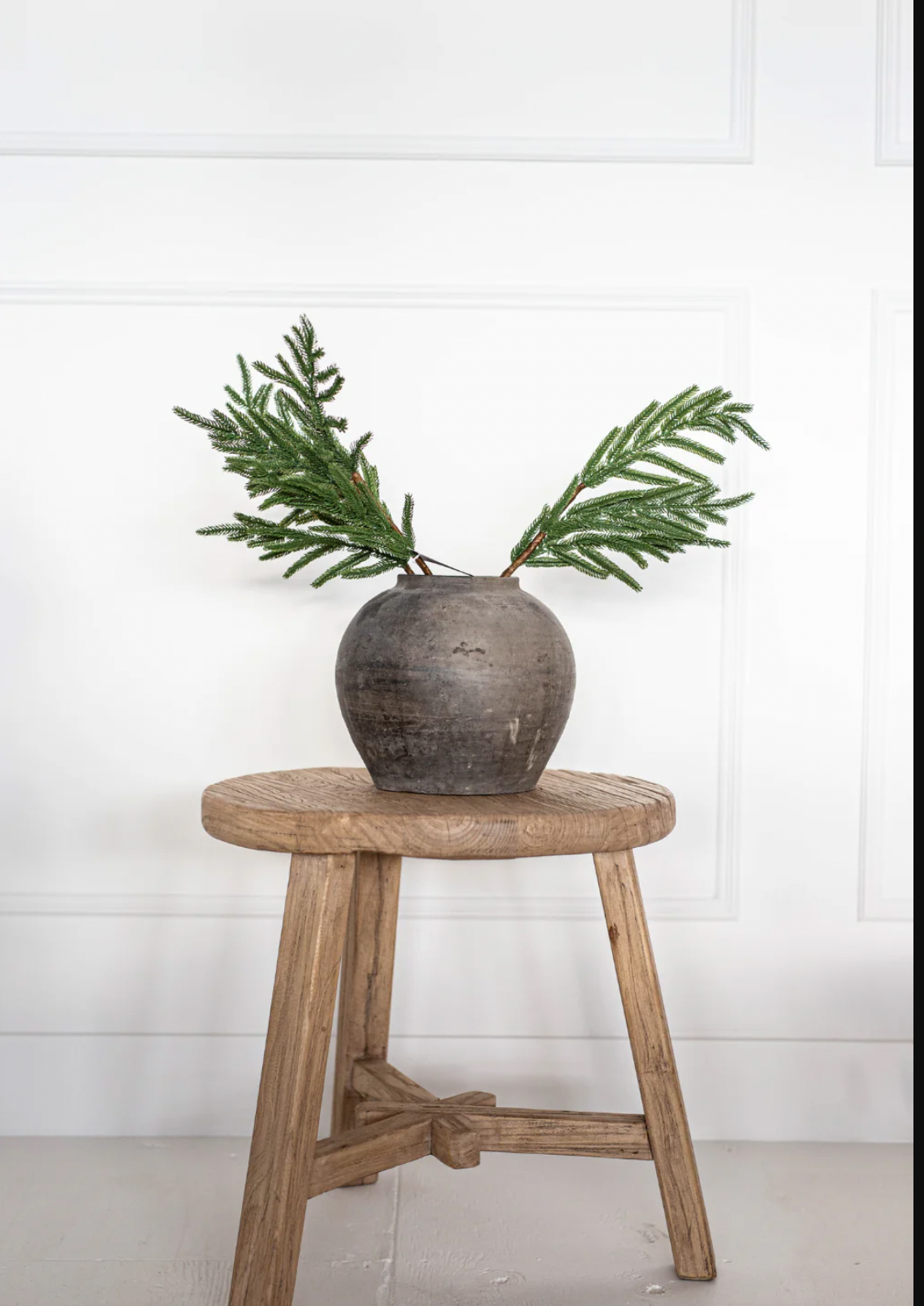 Norfolk Pine Stem - The Cross Decor & Design
