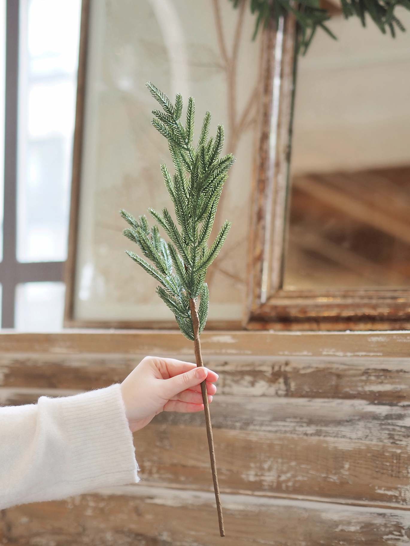 Norfolk Pine Stem - The Cross Decor & Design