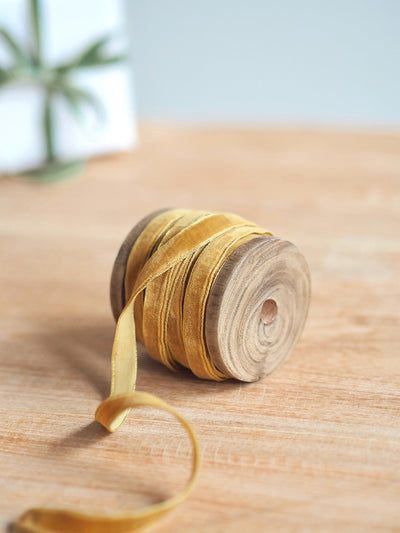 Velvet Trim Ribbons 10Y