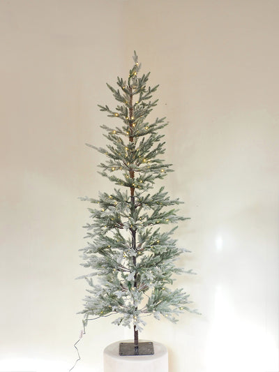 Faux Flock Balsam Tree w/ LED Lights