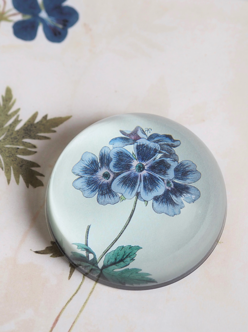 John Derian