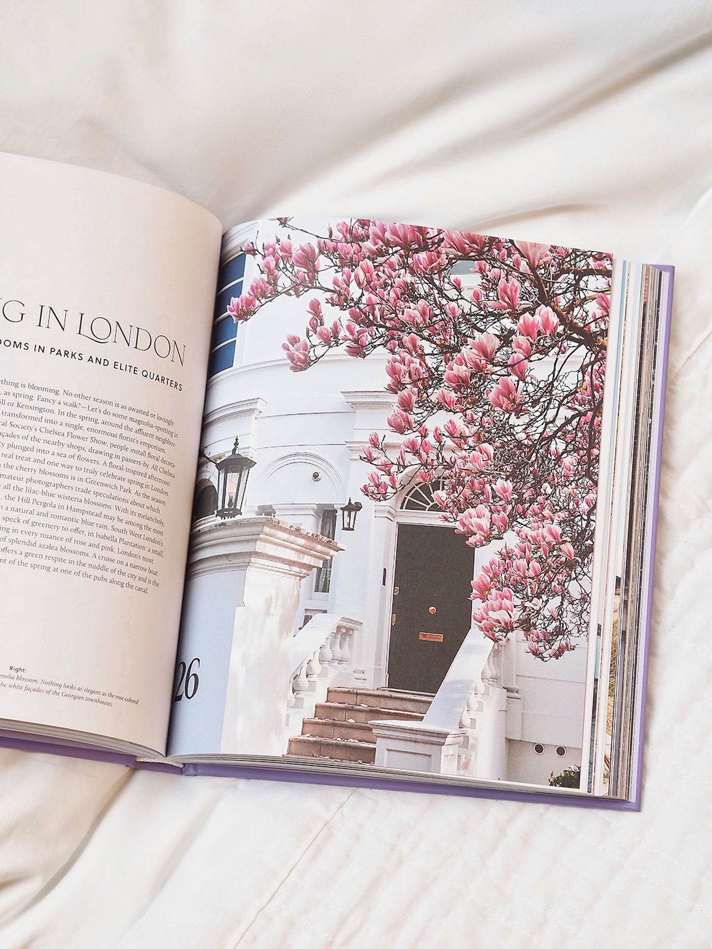 Charming England Book - The Cross Decor & Design