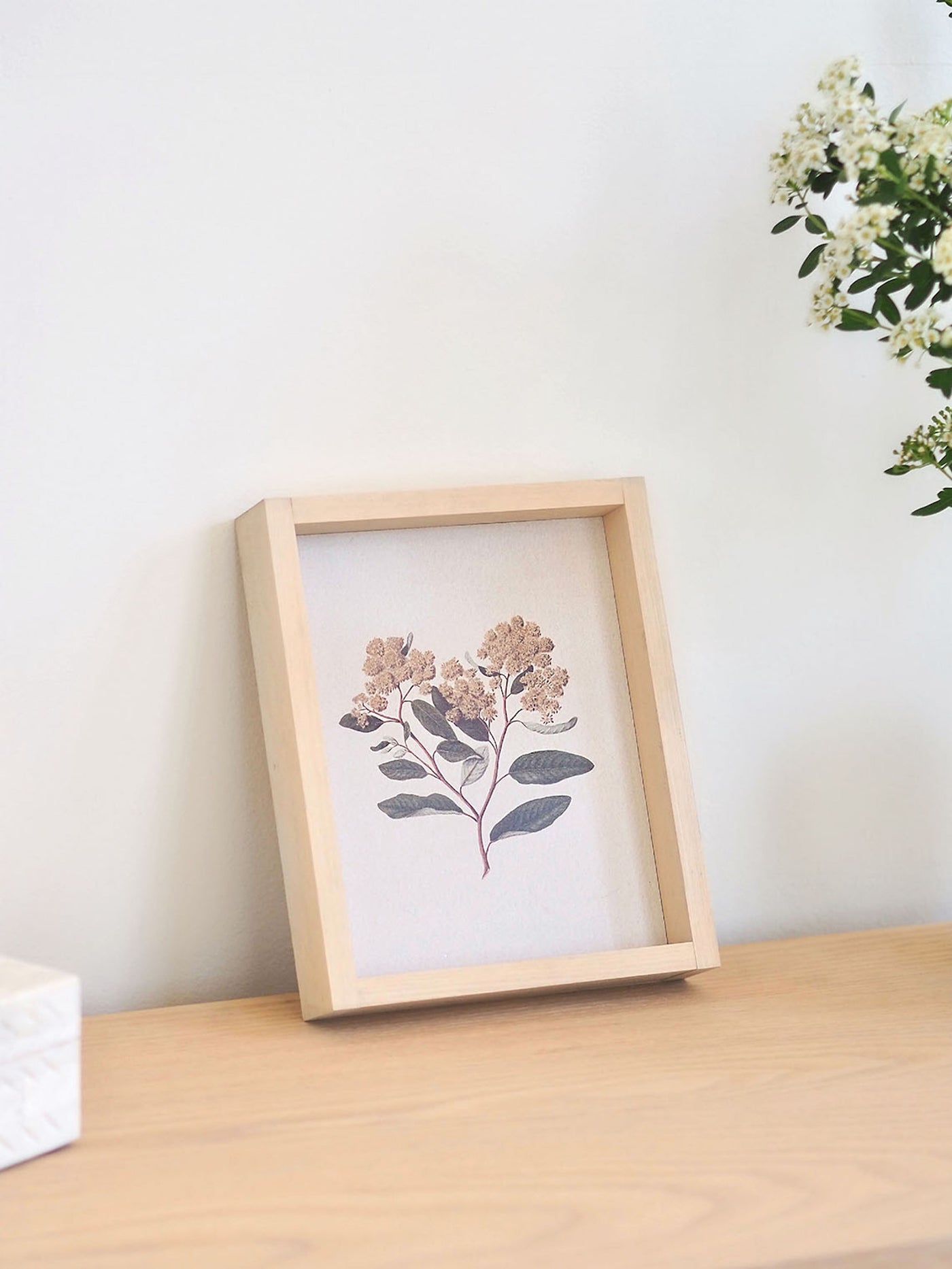 Pomaderris Framed Print 8.5x7" - The Cross Decor & Design