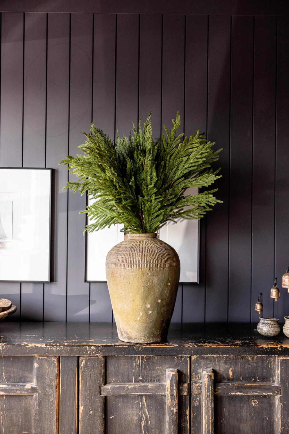 Norfolk Pine Stem - The Cross Decor & Design