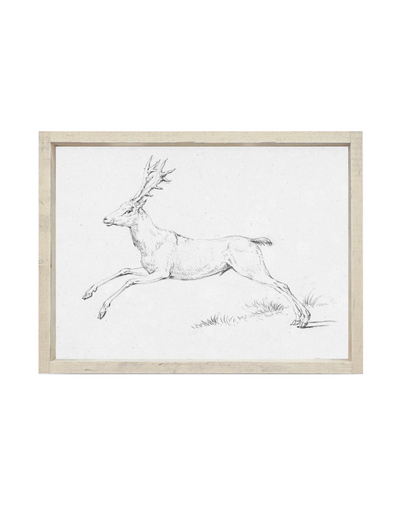 Reindeer Sketch Framed Print