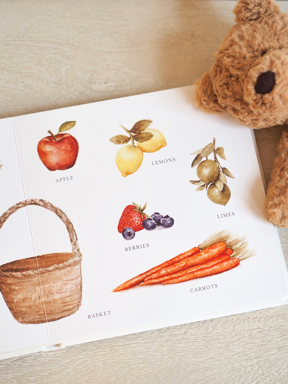 Our Big Book of First Words