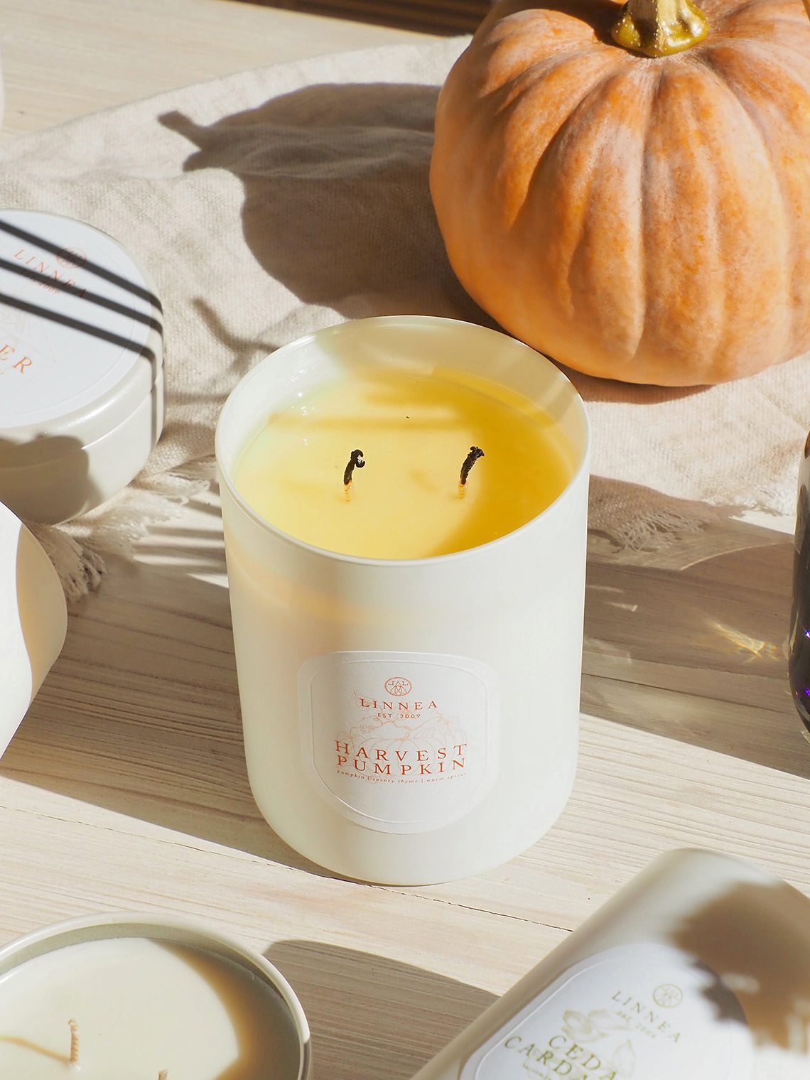 Harvest Pumpkin 2 Wick Candle
