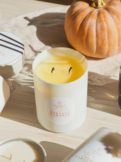 Harvest Pumpkin 2 Wick Candle