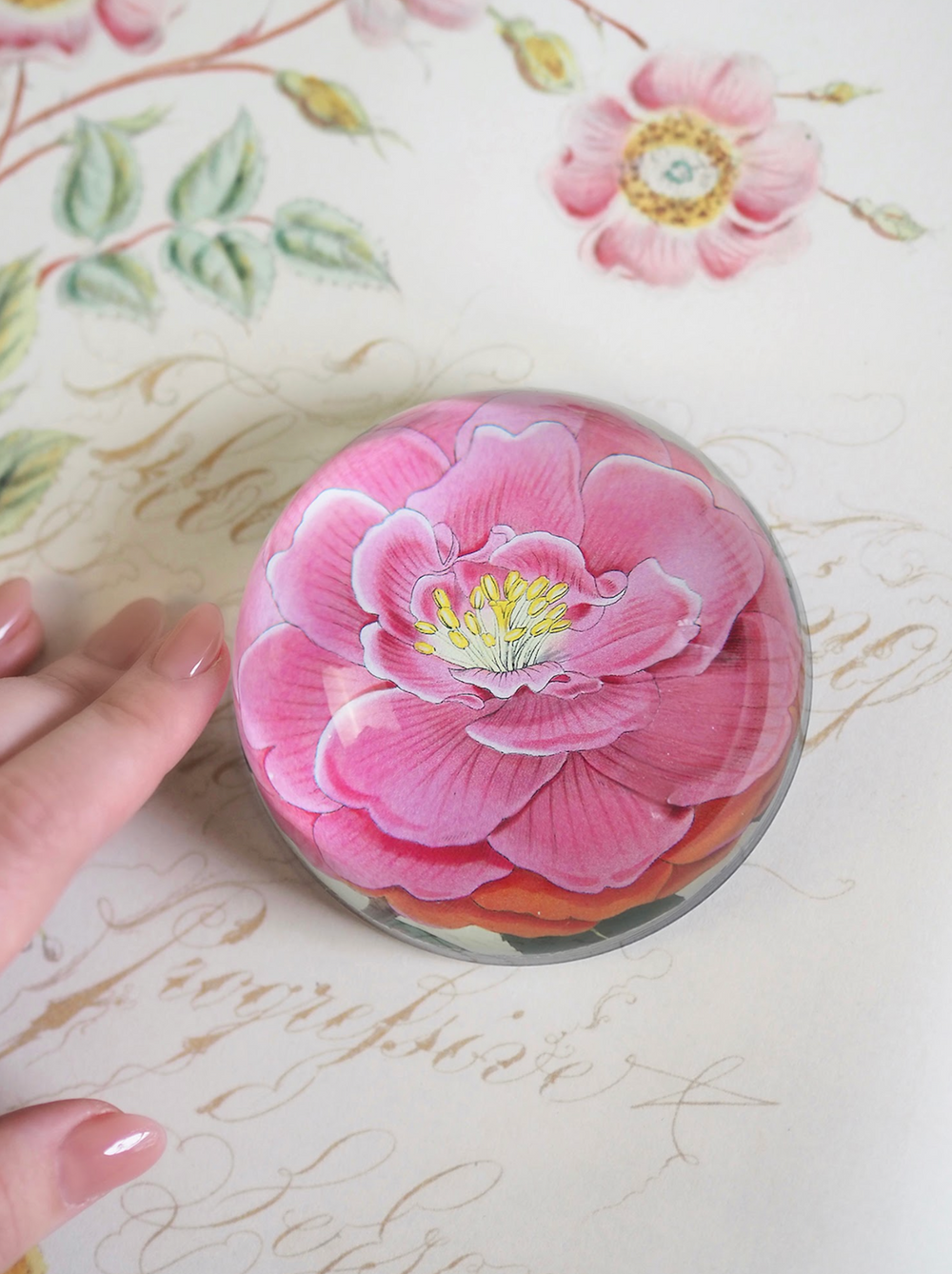 John Derian