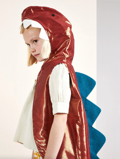 Dinosaur Dress Up Age 3-6 Years - The Cross Decor & Design