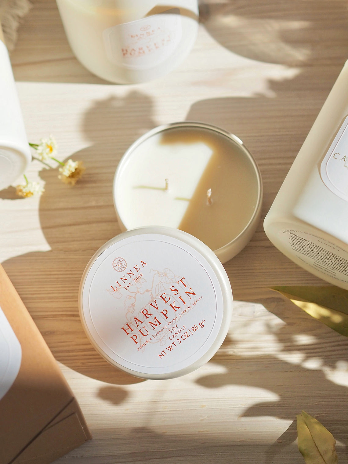 Harvest Pumpkin Petite Candle