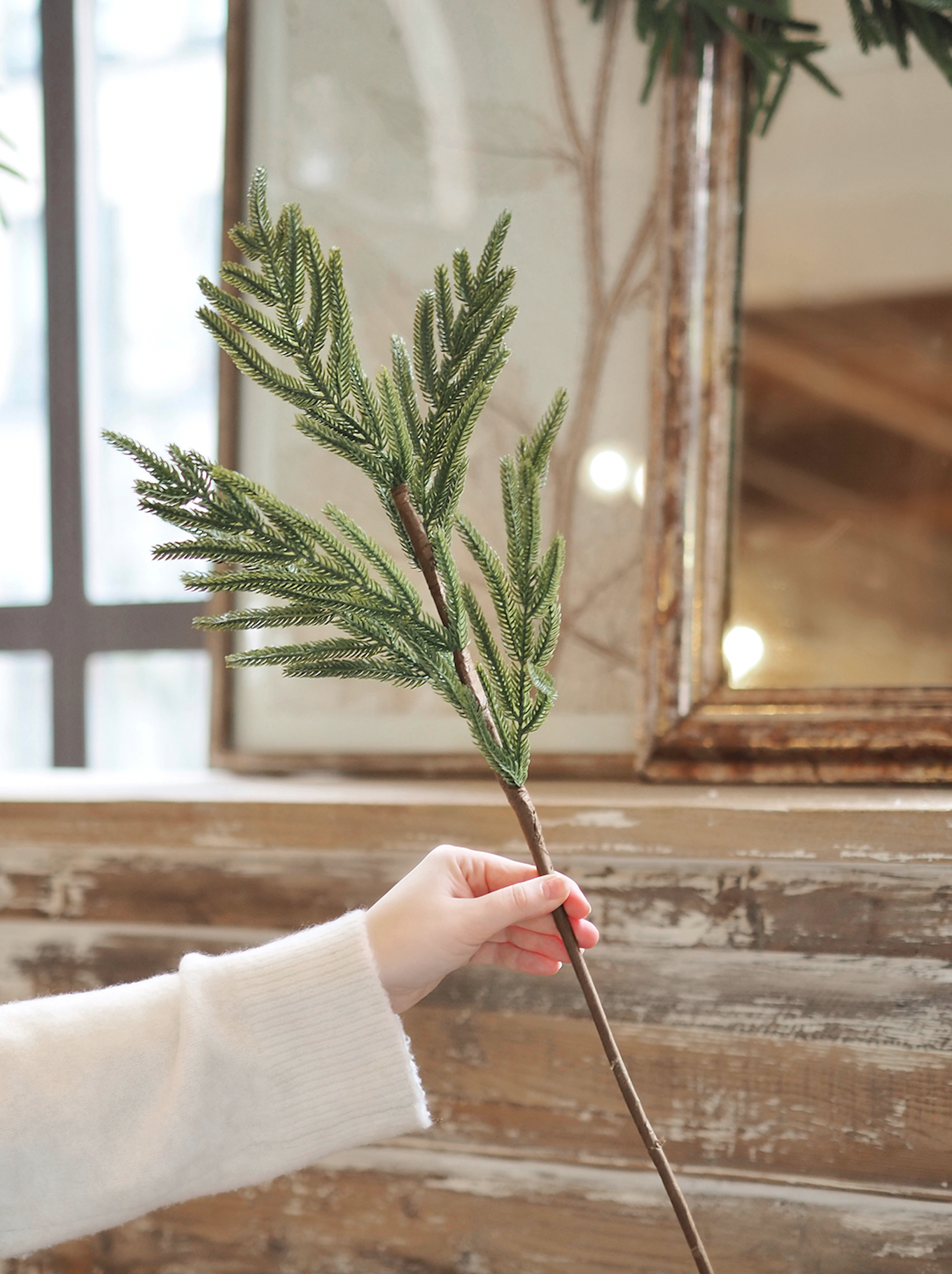 Norfolk Pine Stem - The Cross Decor & Design