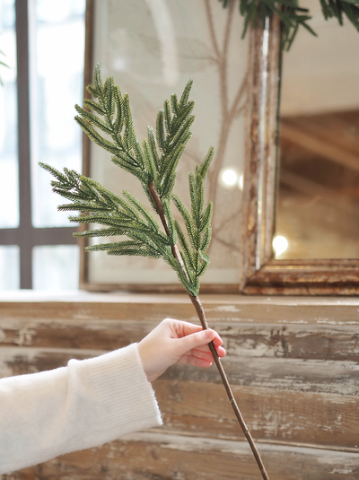 Norfolk Pine Stem - The Cross Decor & Design