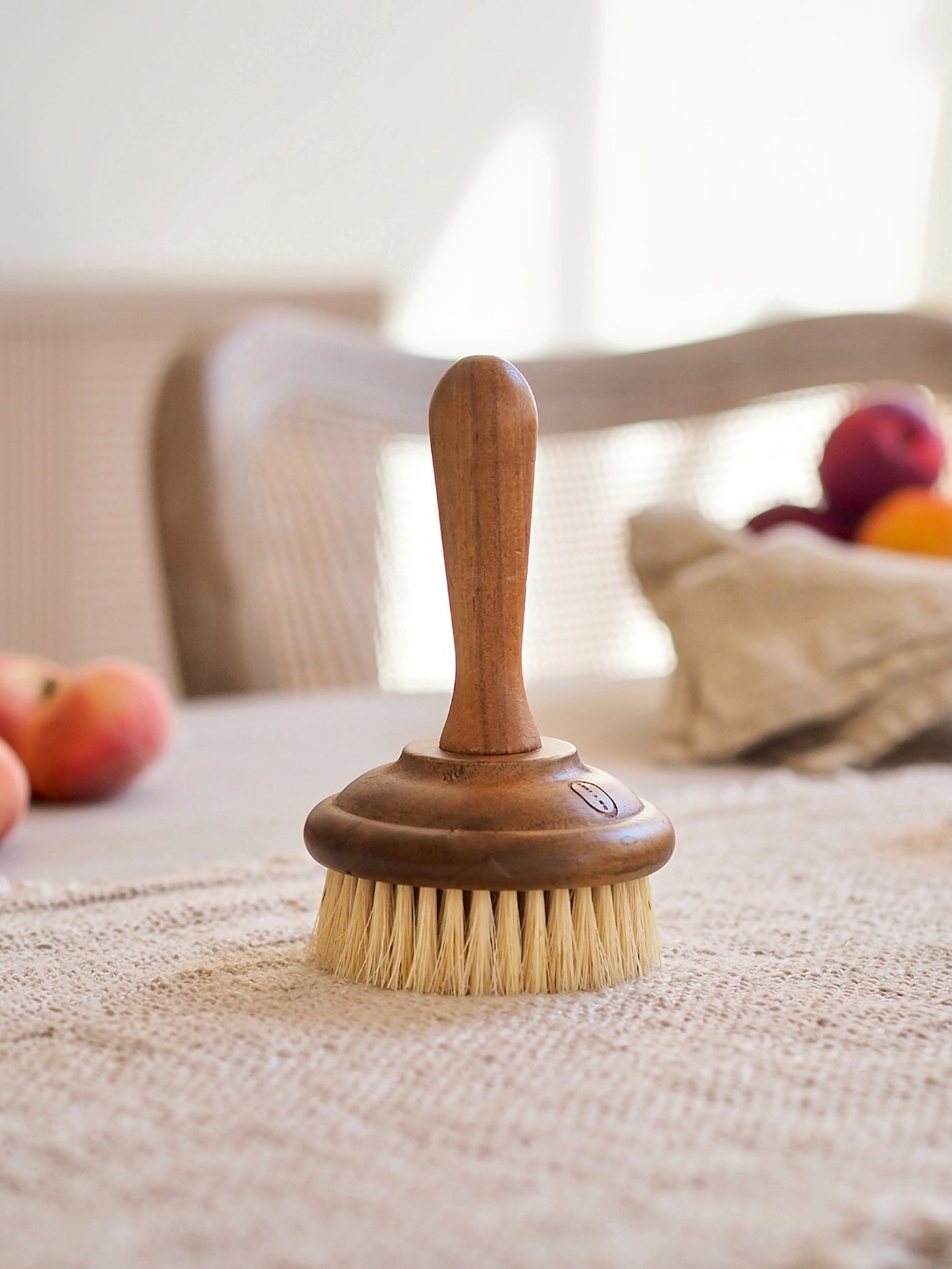 Dish Soap Brush