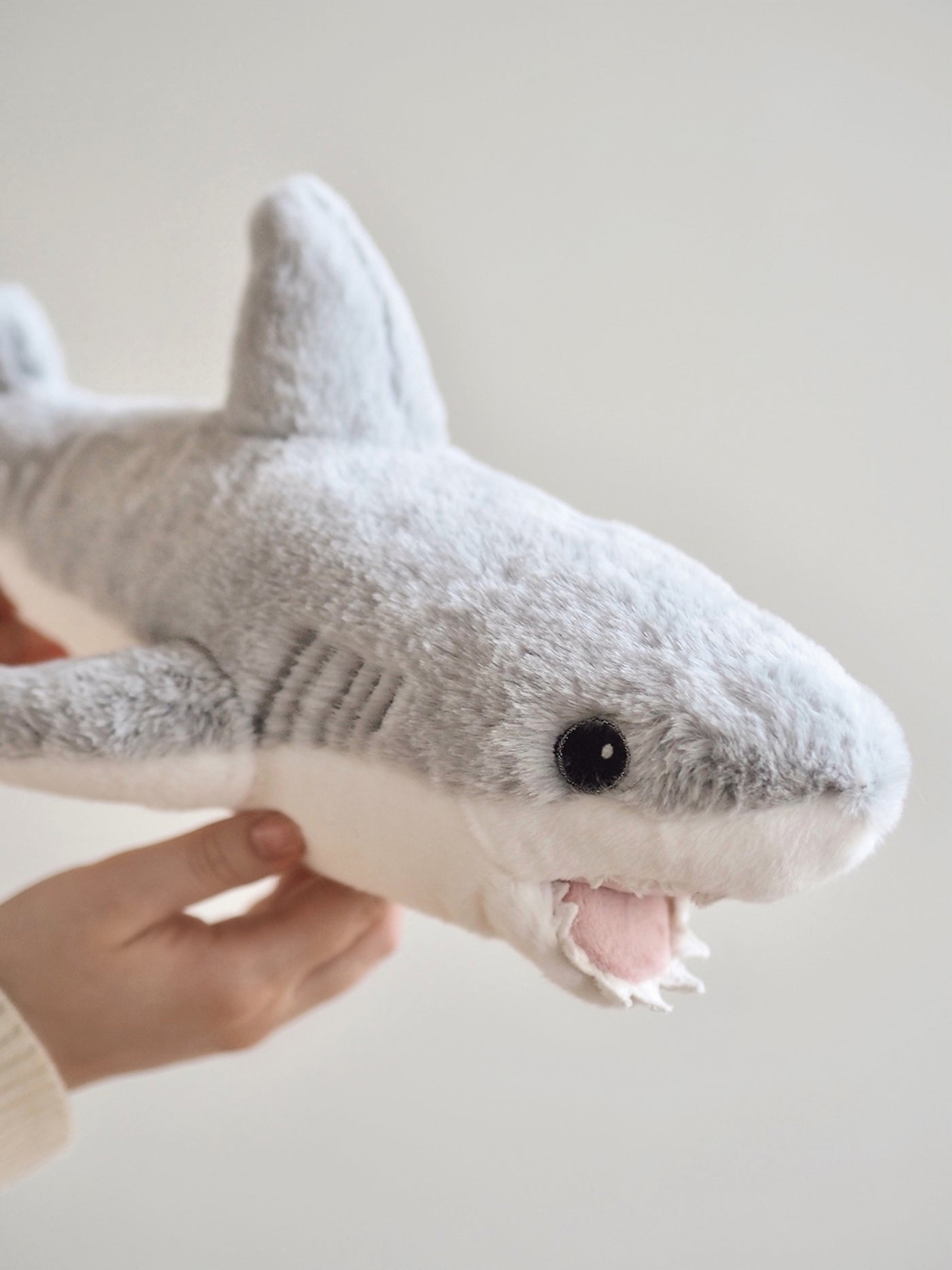 Claude Shark - The Cross Decor & Design