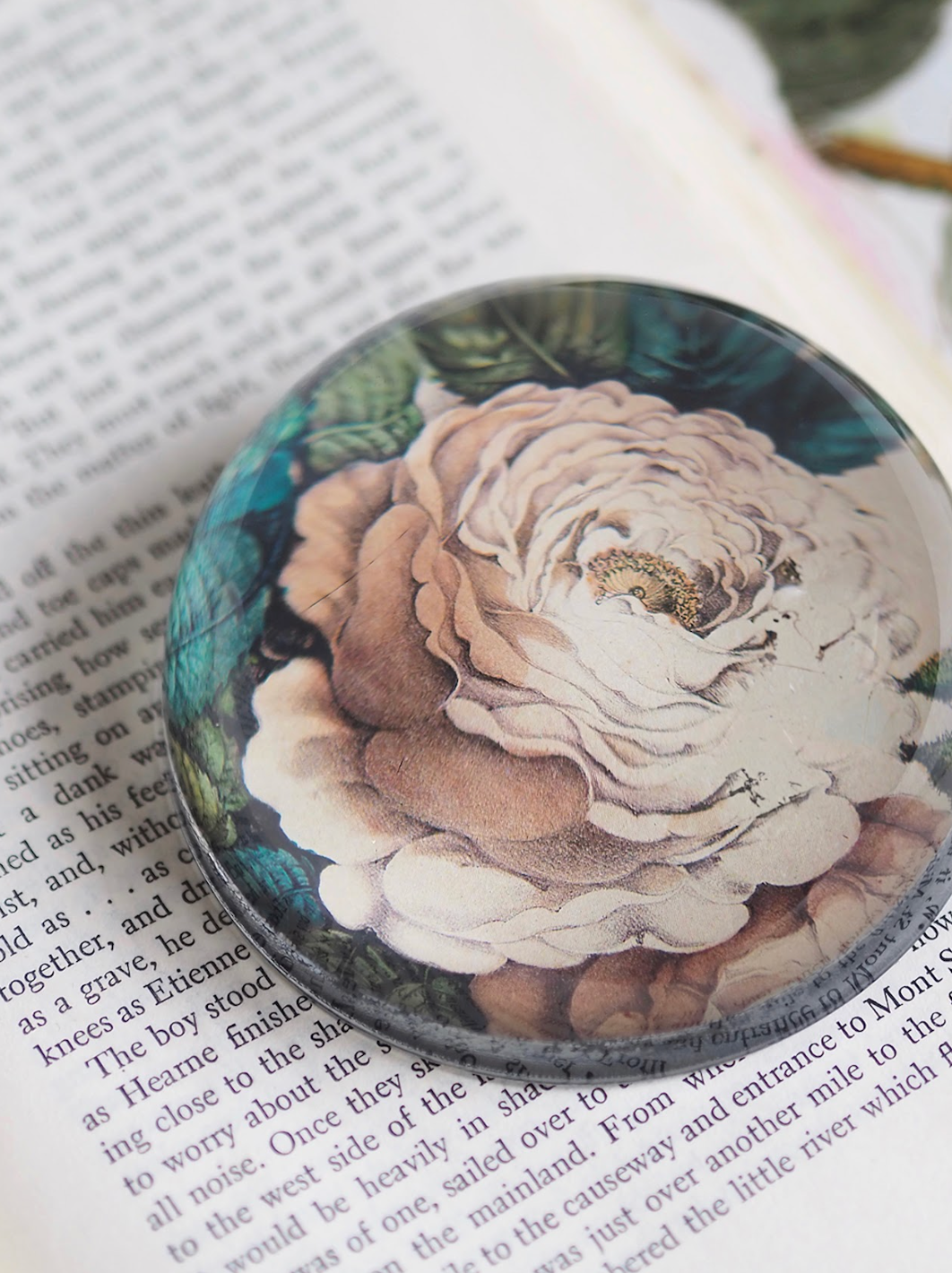 Sepia Rose Dome Paperweight - The Cross Decor & Design