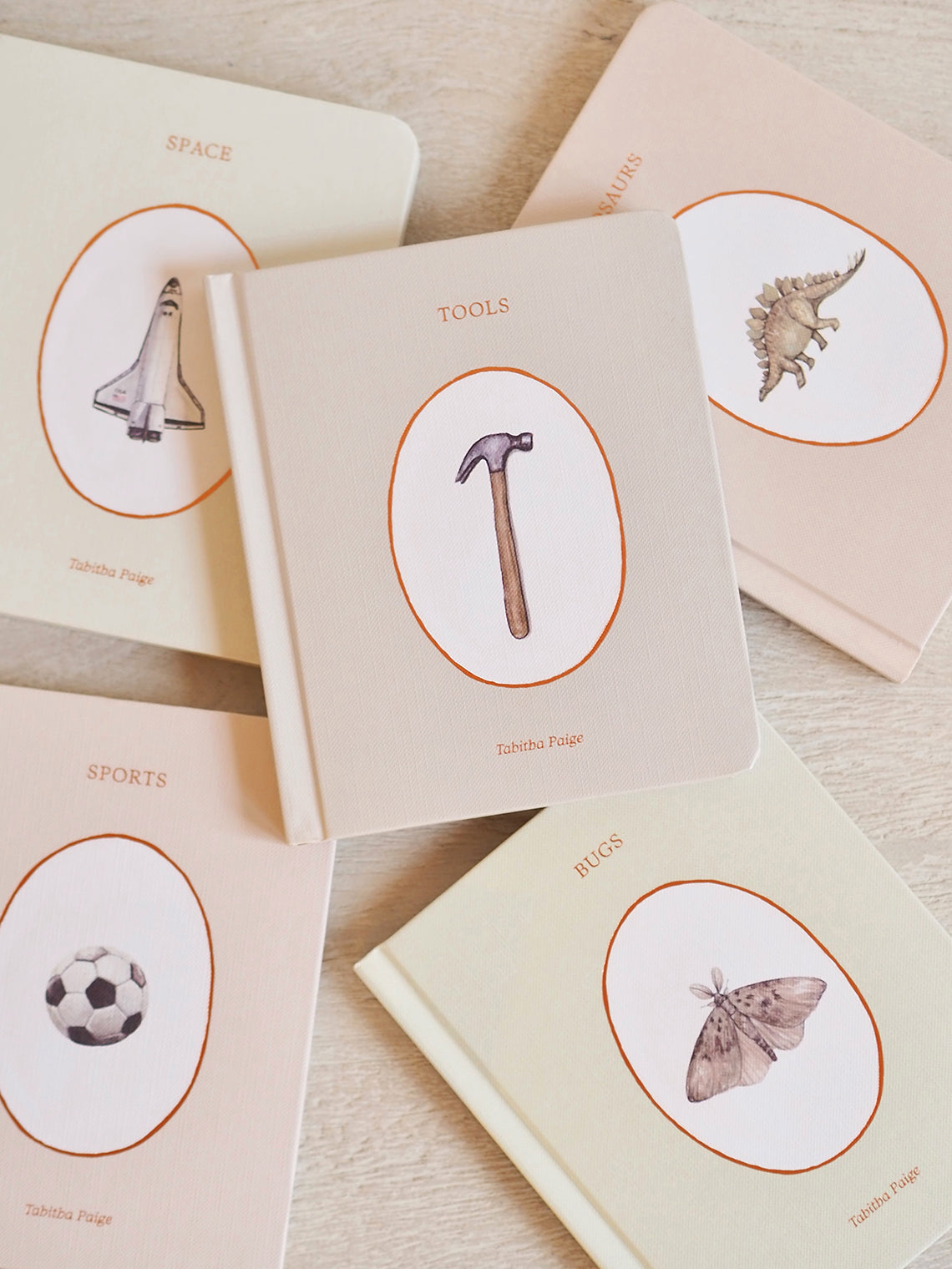 Our Little Library Vol. 3: Dinosaurs, Space, Tools, Bugs, and Sports Board Book Set