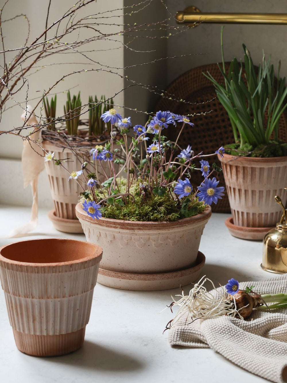 GARDEN & FLORALS | The Cross Decor & Design