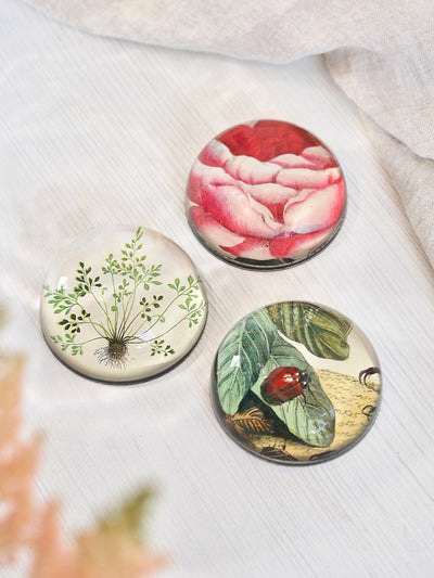 Buta-muraria Dome Paperweight - The Cross Decor & Design